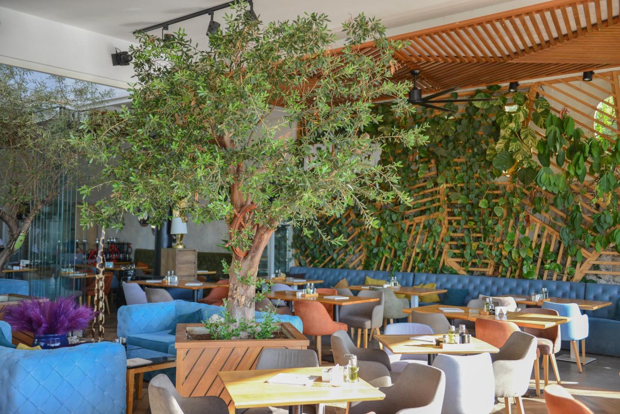 Hotel Riva 布德瓦 外观 照片